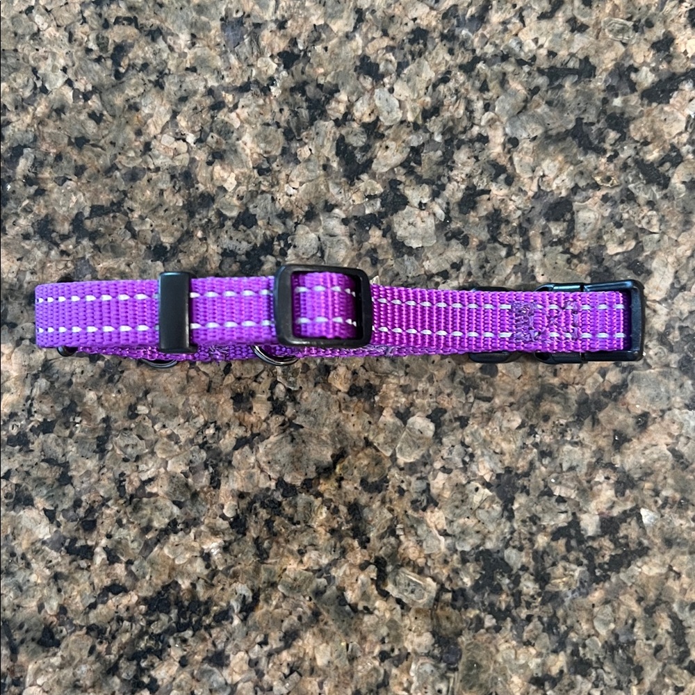 Max & Neo Purple Dog Collar - Picture 2 of 4